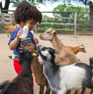 Summer-Section-image-mobile