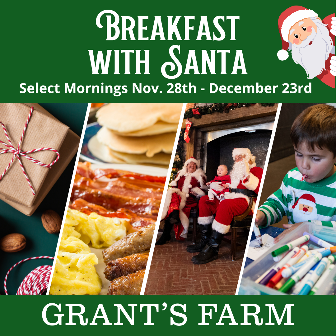 Holiday Lights Walk-Through (2)