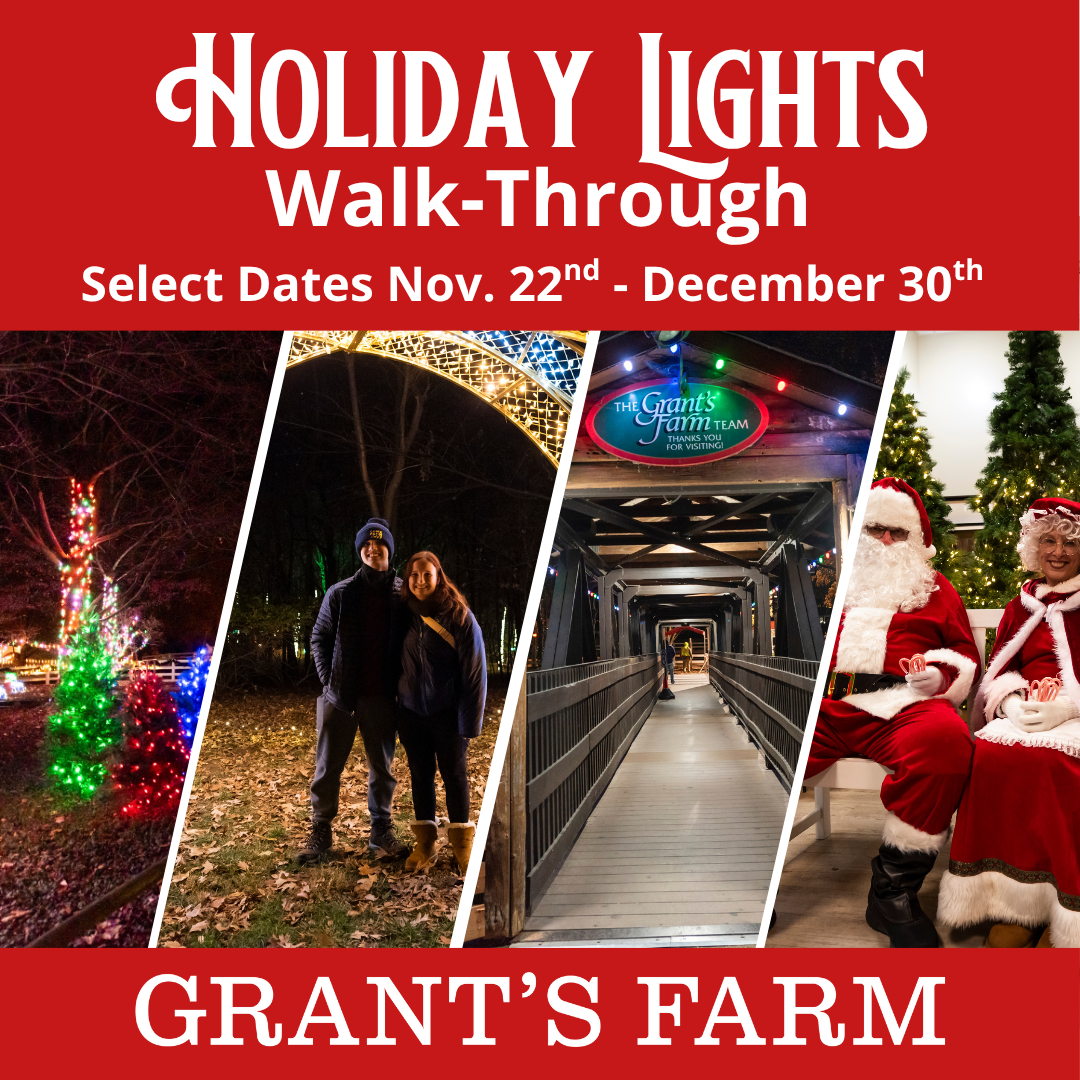 Holiday Lights Walk-Through