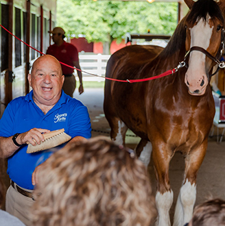 join our team mobile